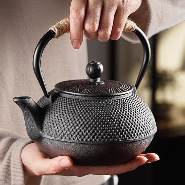 Cast Iron Teapot